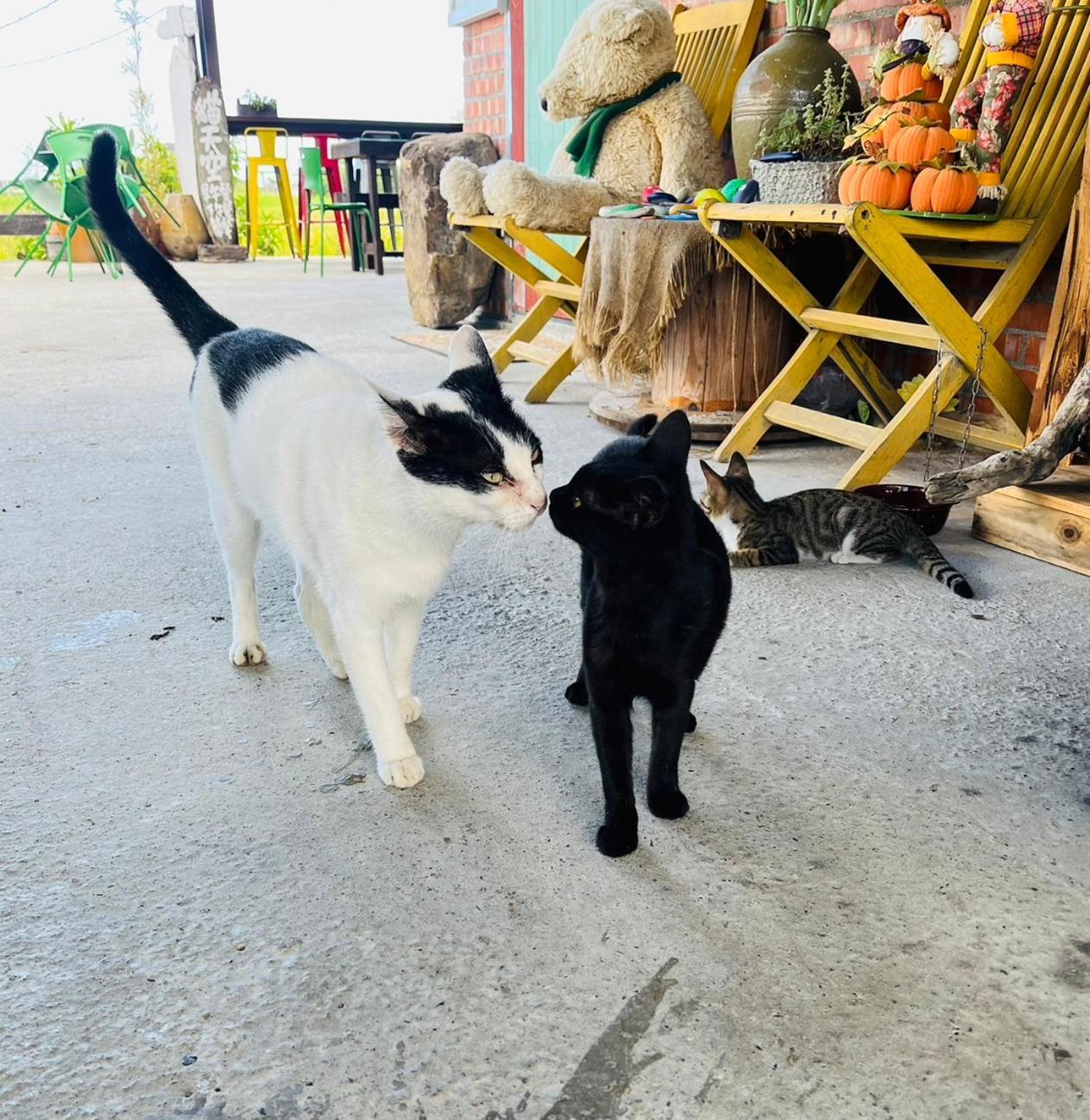 Cat Sky Country Homestay Sanxing Exterior foto